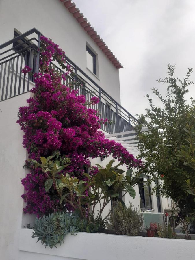 Zenergy - Guest House Odeceixe Exterior foto
